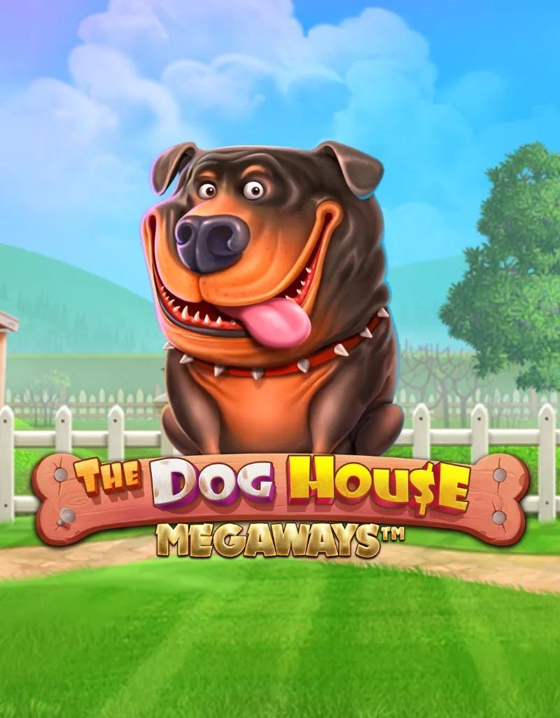 Exploring The Dog House Megaways Casino Features