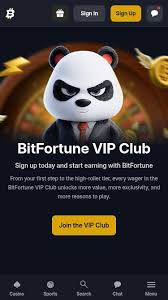 Top Betsoft Plus ADA Picks for Enthusiasts