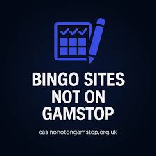 Top Bingo Sites Not Blocked For Online Players