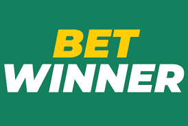 Discover the Thrills of BetWinner Casino