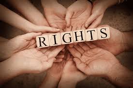Empowering Justice The Role of Legal Teams in Upholding Human Rights
