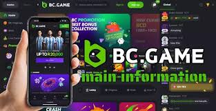 Understanding BC.Game Payment Methods for Romanian Players